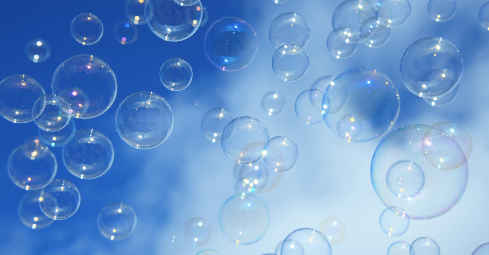 Beyond the Bubble: Share Your Story, Have an Impact